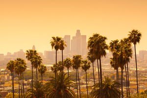 Meet Sibers represantative in person in Los Angeles, CA, USA